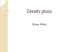 Zasady grupy