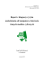 Raport z diagnozy ryzyka uzależnienia od komputera, Internetu i