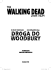 Walking dead_II.indd