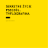 Pobierz „Sekretne życie pszczół. Tyflografika”