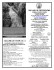 celebrate with us - Our Lady Of Czestochowa