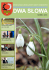 dwa słowa - Urząd Gminy Czernikowo