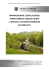 sprawozdanie z działalności powiatowego zarządu dróg za rok 2011