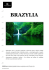 Program wyprawy do Brazylii