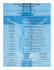 St. Mary of Czestochowa Parish Iskierki Parafialne Fifth Sunday of