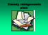 Zasady redagowania pism