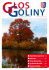 Głos Goliny Nr 4 - Październik 2011