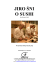 Jiro śni o sushi pressbook