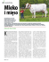 Mleko i mięso, nr 19/2006