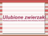 Ulubione zwierzaki