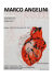 POLISH - Marco Angelini - cuori seriali Bruxelles