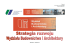 Strategia rozwoju WBiA