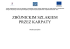 Szczeg&oacute;łowy budżet projektu do pobrania w formacie PDF.