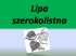 Lipa szerokolistna