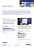 FedEx InSight®