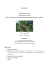 Registration for the Summer school &ldquo;Promoting genetic