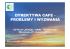 (Microsoft PowerPoint - \(1}DYREKTYWA CAFE 3.ppt [tryb zgodno