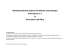 Wewnątrzszkolny System Doradztwa Zawodowego Gimnazjum nr 1