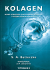 KOLAGEN