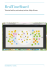 RealTimeBoard