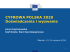 CYFROWA POLSKA 2020 Doświadczenia i wyzwania