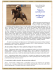 Arizona Reining Horse Association Trainers Discussion