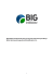 Regulamin świadczenia usług w Serwisie Internetowym BIG - BIG-u