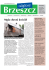 Odgłosy Brzeszcz listopad 2007