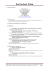 Curriculum Vitae