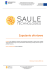 Zapytanie Ofertowe – SAULE