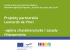 Charakterystyka projektów partnerskich