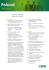 CBRE Word Template