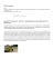 Generuj PDF - KMP Suwałki