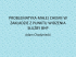 problematyka małej chemii w zakładzie z punkyu
