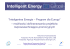Inteligentna Energia – Program dla Europy” – możliwości