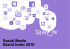 Social Media Brand Index 2010