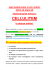 CELLULITEM
