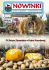 NOWINKI