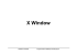 X Window - elka.pw