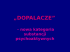 dopalacze - psp 34 w radomiu