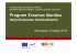 Program Erasmus Mundus