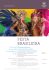 FESTA BRASILEIRA