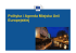 Polityka i Agenda Miejska Unii Europejskiej