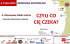 BSL-co Cie czeka-cd - Akademickie Centrum Kariery UEK