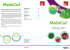 MobiCal MobiCal