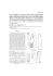 Odonatrix 4(1).p65