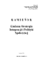 Gminna Strategia Rozwiązywania Problemów Społecznych