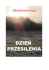 Dzień przesilenia