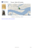Wenecja - Gallerie dell`Accademia