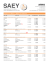 PRIJSLIJST SAEY 2016 - CZ, SK, PL, SLO, CRO, HU, BALT.xlsx